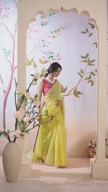 Pure Mul Cotton Saree- New Arrival